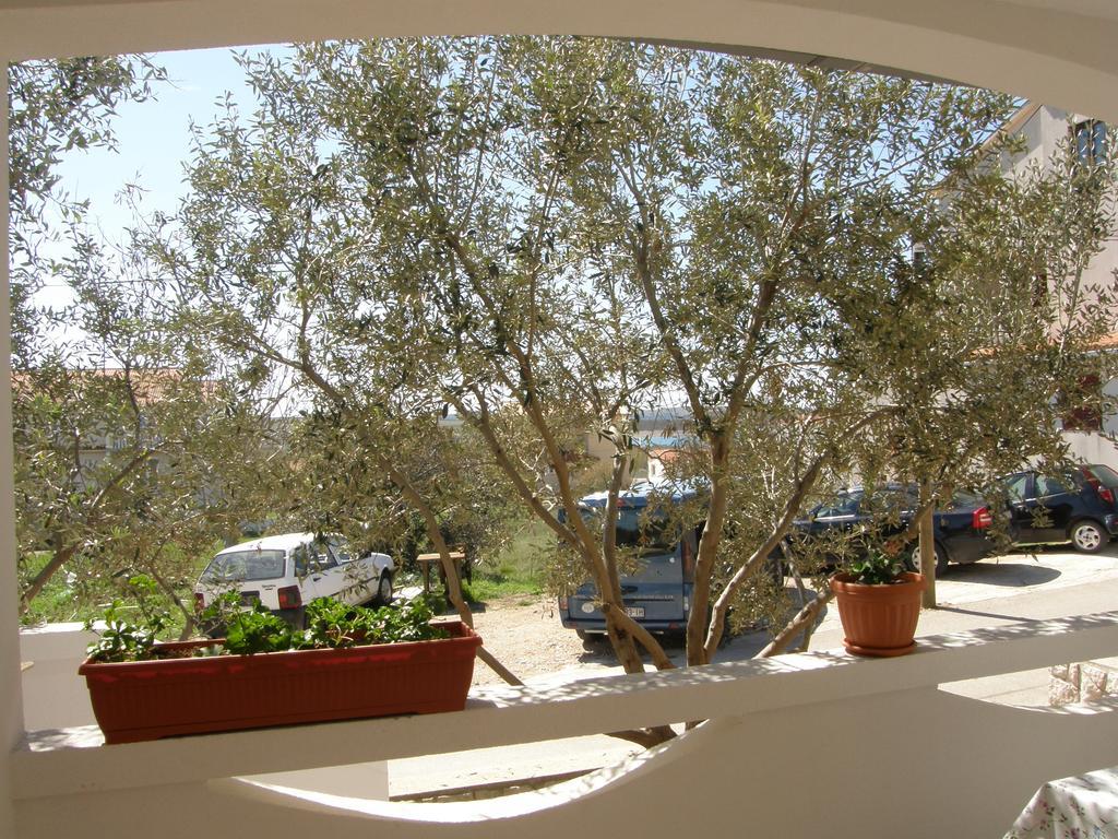 Apartments Marino Povljana Exterior foto